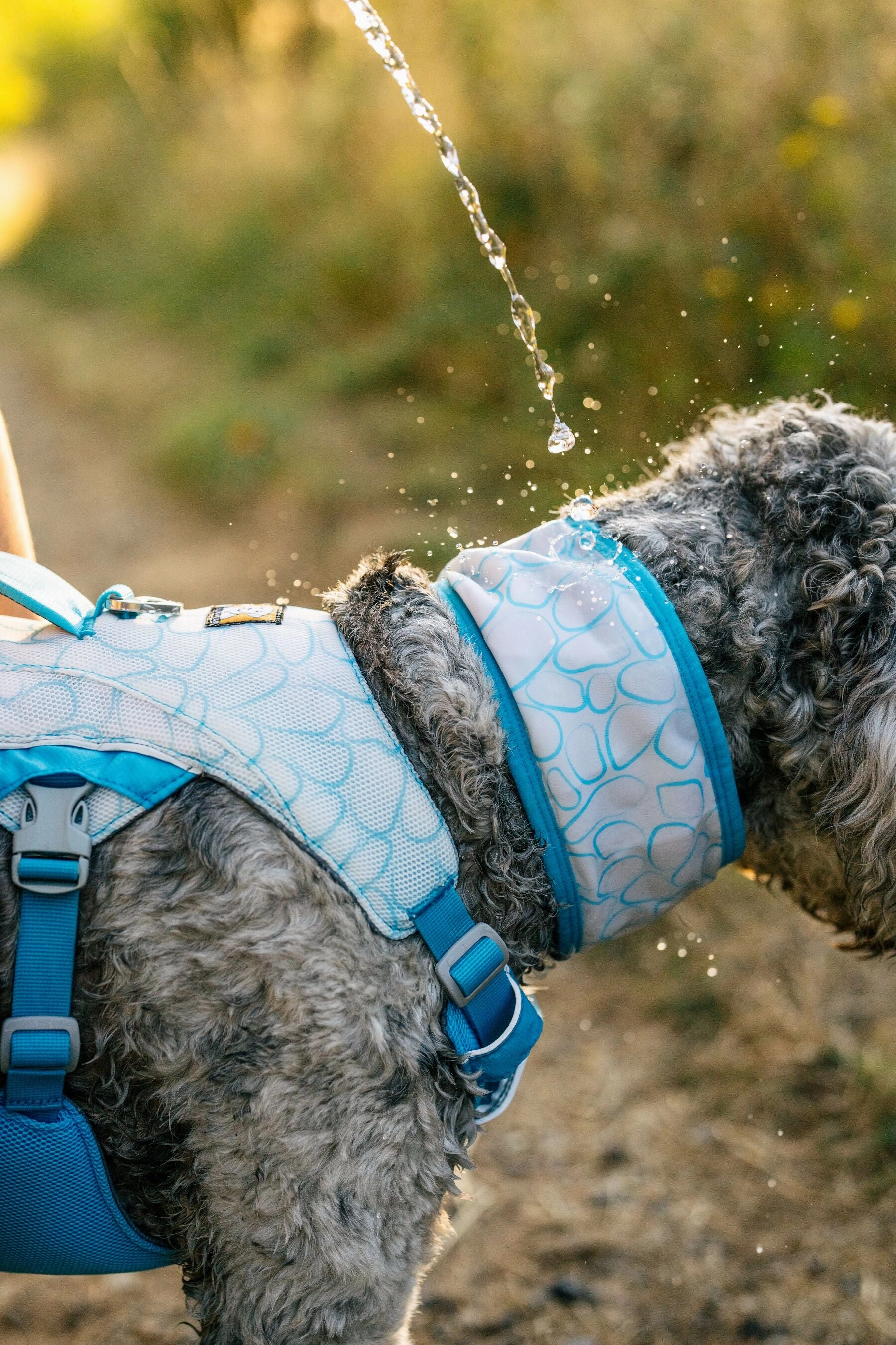 Swamp Cooler Cooling Dog Neck Gaiter