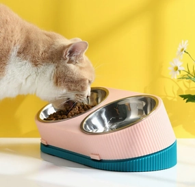 CAT-BOWL
