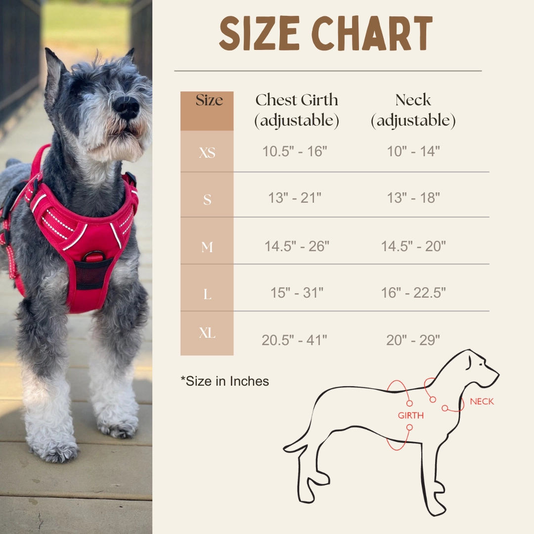 Venture Paw Mesh Lined Dog Harnesses