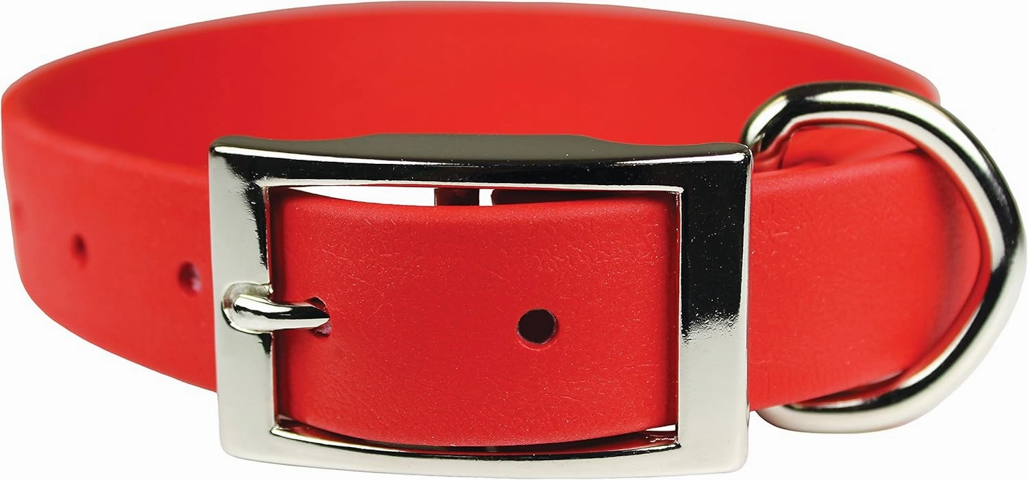 Waterproof Easy Clean Collars - Zeta Dog Collars