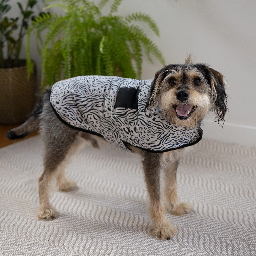 Wild Thing Soft Dog Jacket