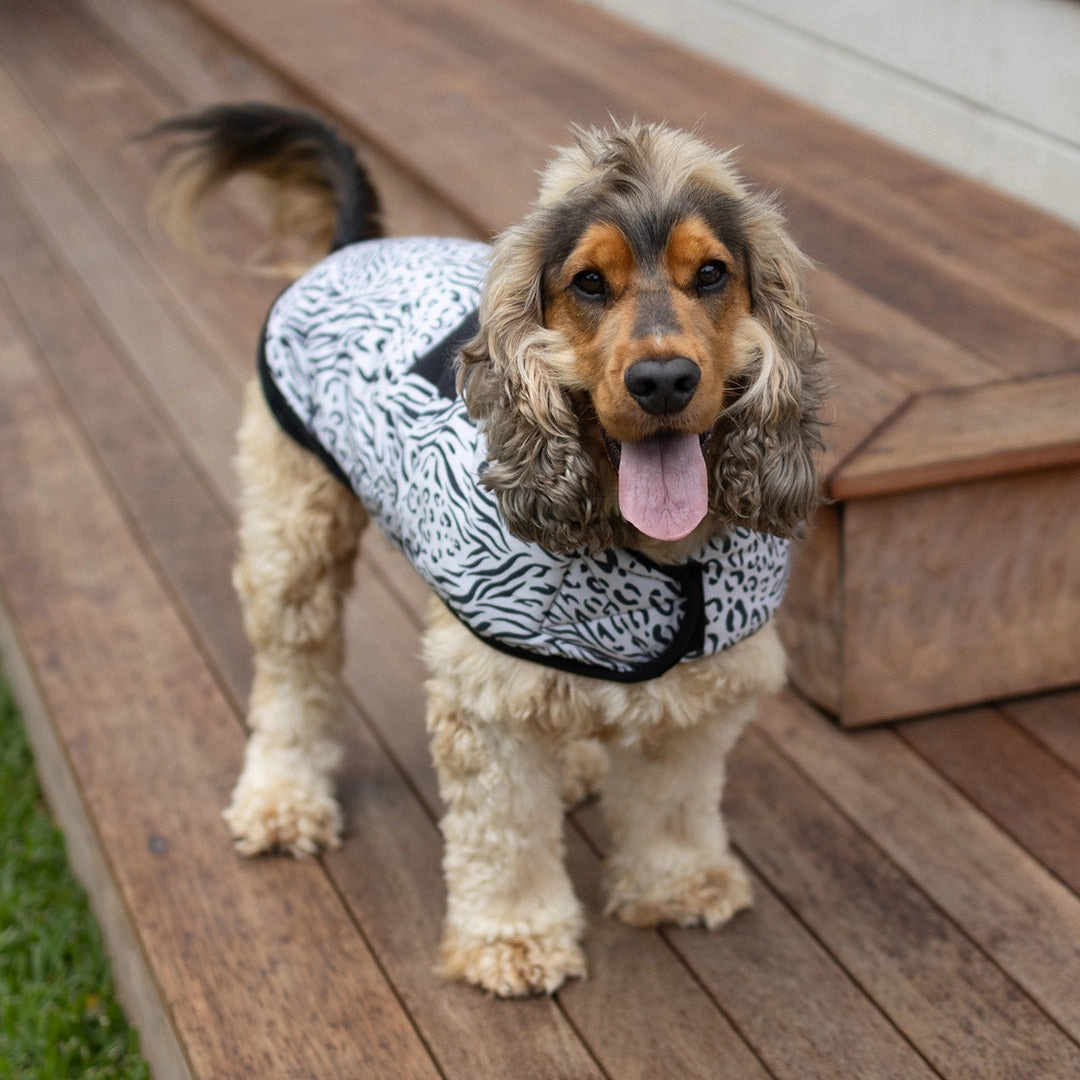 Wild Thing Soft Dog Jacket