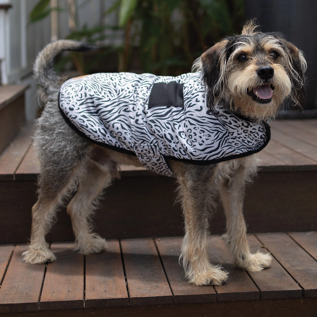 Wild Thing Soft Dog Jacket