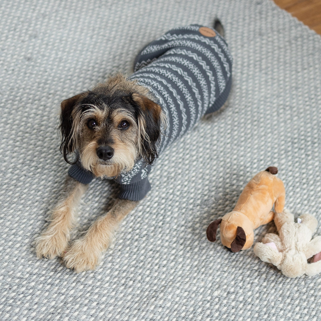 Winter Wonder Dog Jumper
