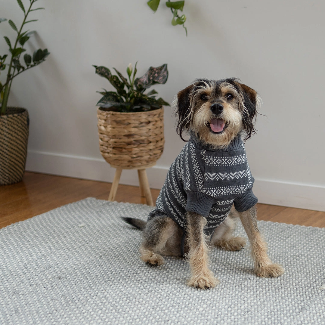 Winter Wonder Dog Jumper