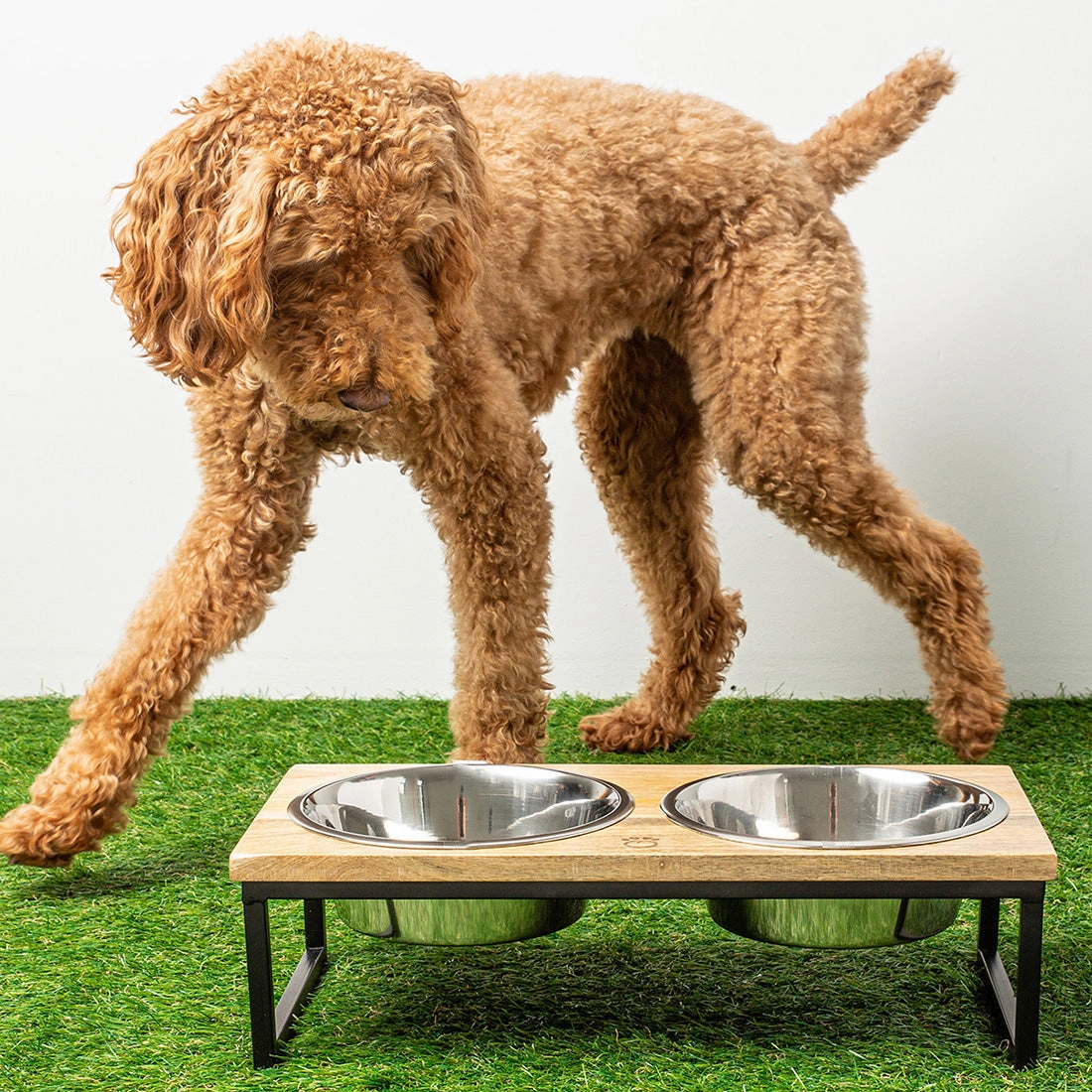 Wood & Metal Elevated 2 Dog Bowl Feeder
